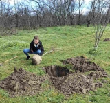 Залесяват Гребната база в Пловдив с близо 200 чинара 